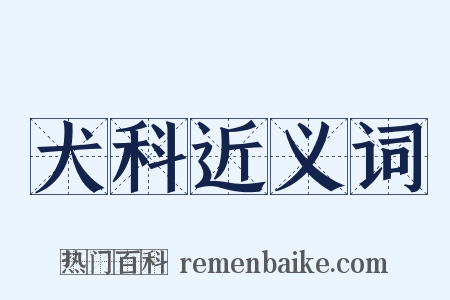犬科近义词是什么意思的图片